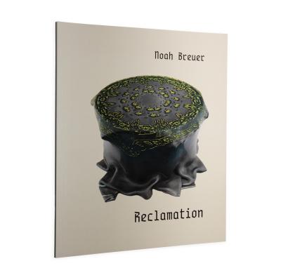 Kniha – monografie Noah Breuer: Reclamation